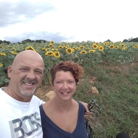 B&B Buddleja Saint-Hilaire-les-Places Екстер'єр фото