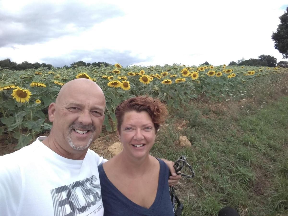 B&B Buddleja Saint-Hilaire-les-Places Екстер'єр фото